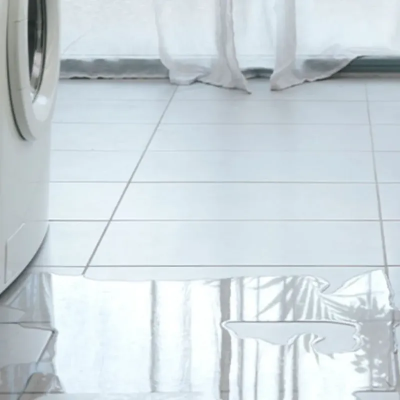 Appliance Leak Cleanup in Oakridge, OR