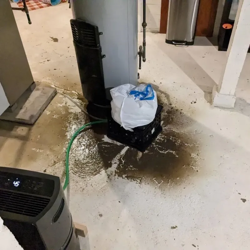 Sewage Backup Cleanup Service in Oakridge, OR